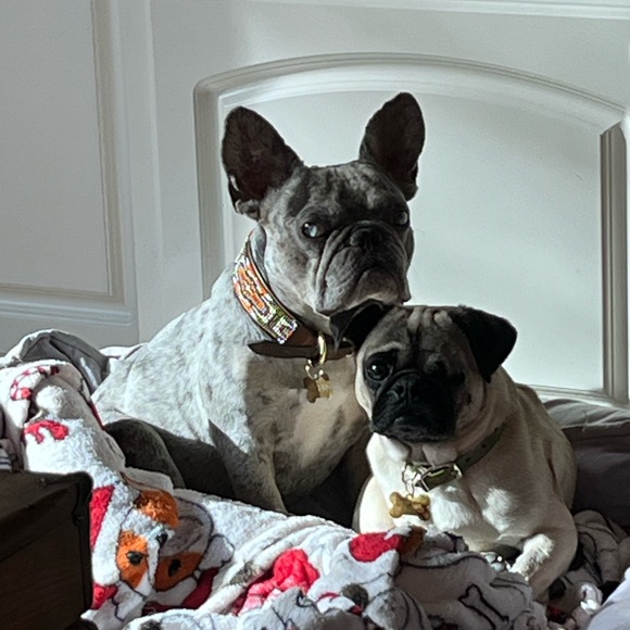 Meet your Posher, Katherine - Picture 9 of 10